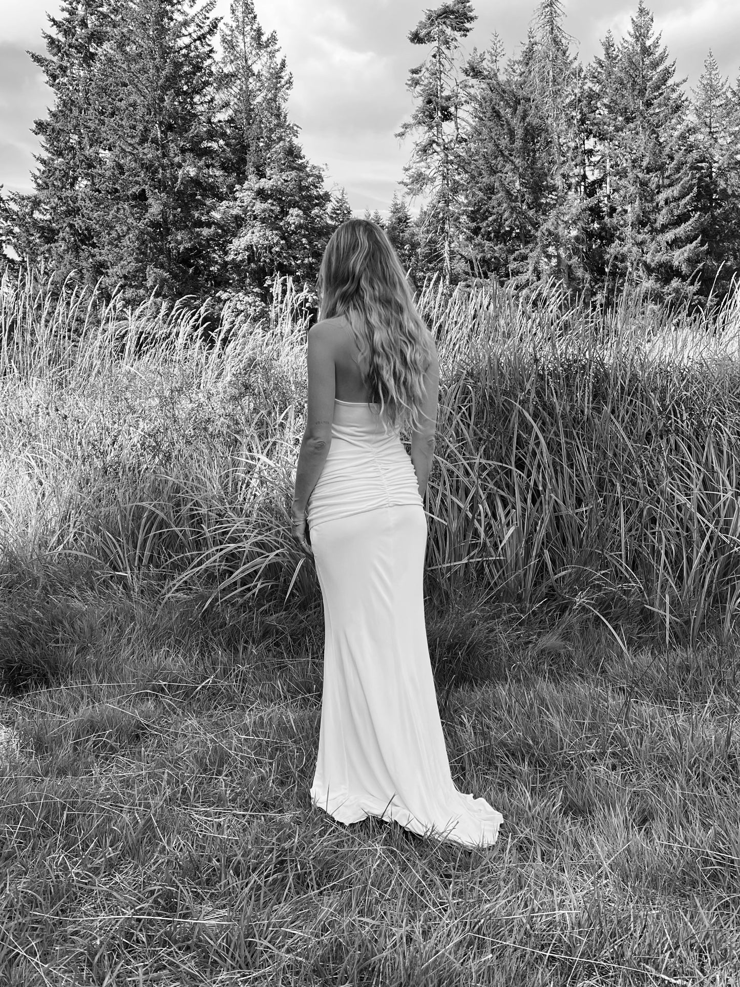 stikine dress